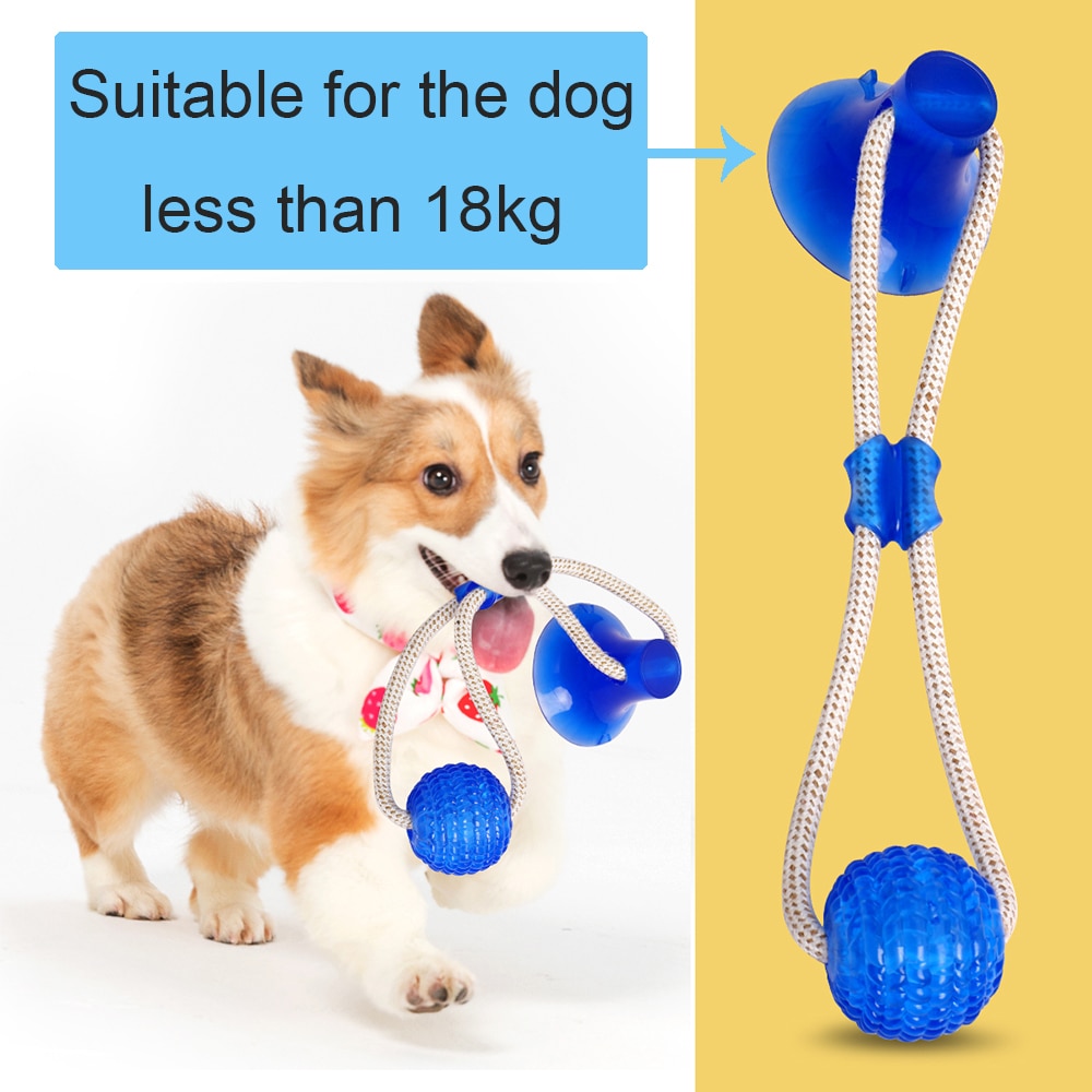 Petacc Puppy Chew Toys Bite Resistant Pet IQ Training Tool Teeth Cleaner Dog 6L